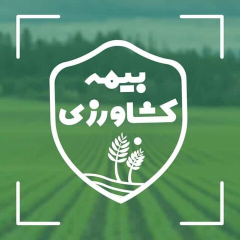 بیمه محصولات کشاورزی در کهگیلویه تا ۱۵ بهمن تمدید شد