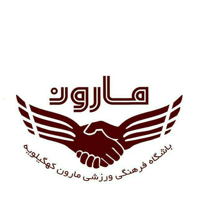 برای اولین بار در استان ؛ تیم کاراته مارون کهگیلویه درسوپرلیگ کشور حضور خواهد یافت