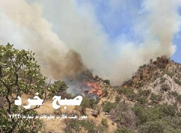 “کوه خائیز” همچنان در آتش میسوزد “کوه خائیز” همچنان در آتش میسوزد