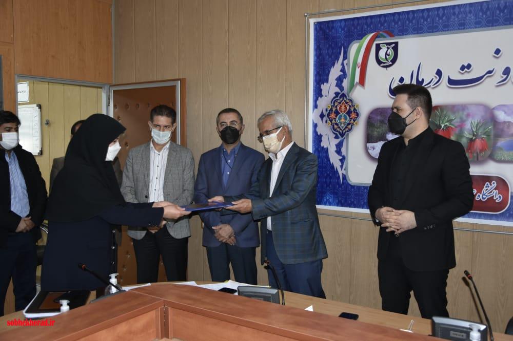 از پرتوکاران و رادیولوژیست های نمونه دانشگاه علوم پزشکی کهگیلویه و بویراحمد تجلیل شد/+تصاویر