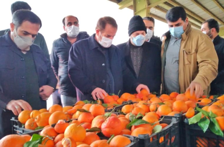 کاهش قیمت‌ها  از مزایای راه‌اندازی میدان میوه و تره‌بار است