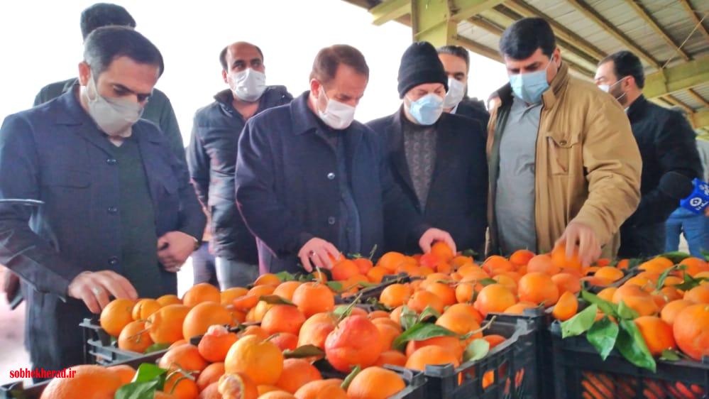 کاهش قیمت‌ها  از مزایای راه‌اندازی میدان میوه و تره‌بار است