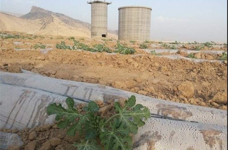 کارخانه “سیمان سپو” در کمای مطلق است ؛لطفا کاری کنید