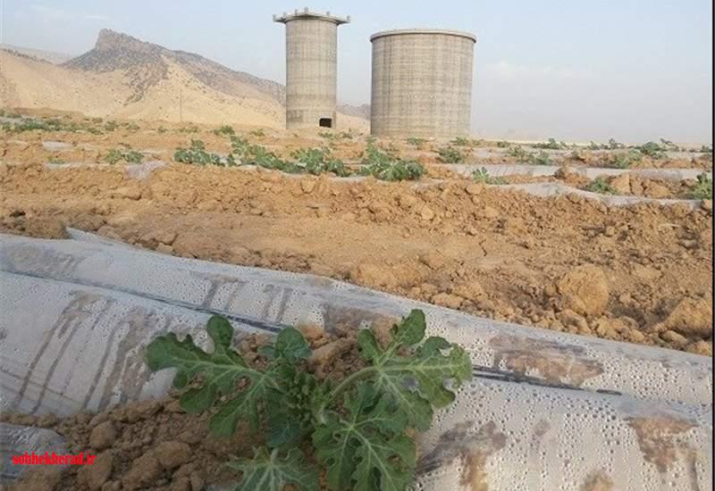 کارخانه “سیمان سپو” در کمای مطلق است ؛لطفا کاری کنید