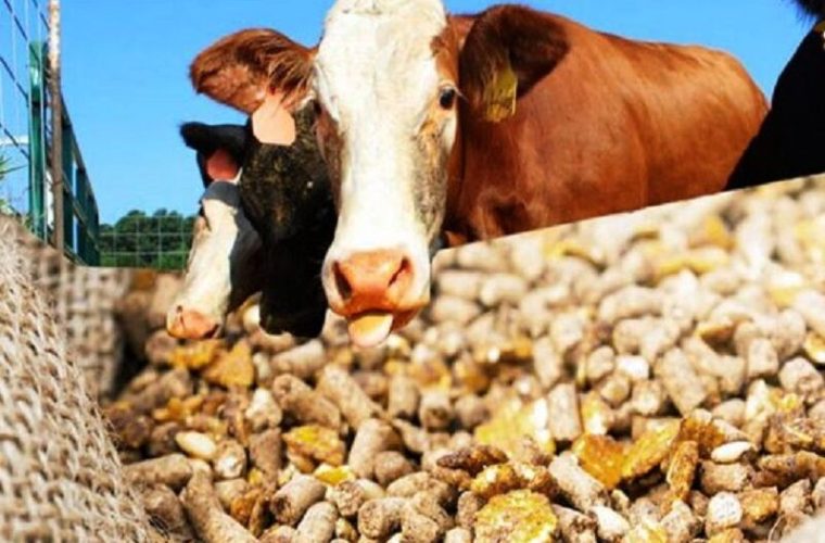 ۱۲میلیارد دلار پول بی‌صاحب را چه کسانی به جیب می‌زنند؟