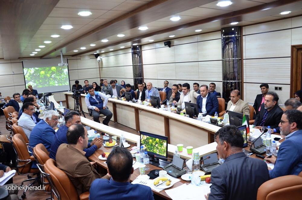 قوانین «دست و پاگیر» مشکل اصلی تولید و تجارت است قوانین «دست و پاگیر» مشکل اصلی تولید و تجارت است