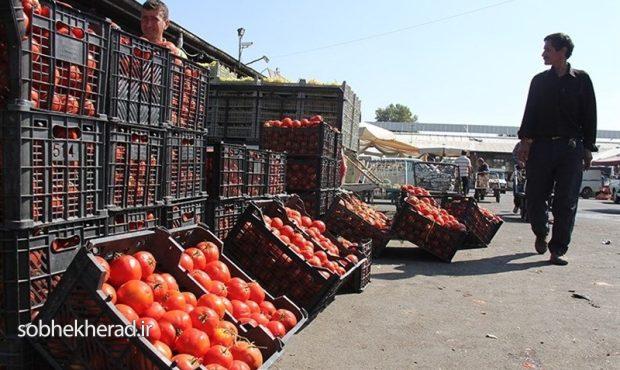 پایان حماسه استاندار کهگیلویه وبویراحمد و گوجه! پایان حماسه استاندار کهگیلویه وبویراحمد و گوجه!