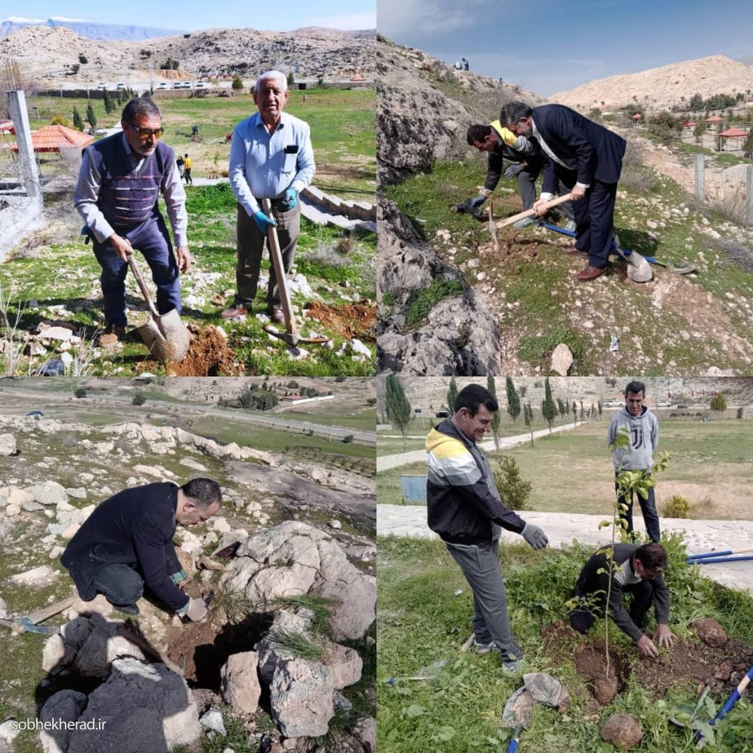درخت کاری در دین اسلام جایگاه خاصی دارد درخت کاری در دین اسلام جایگاه خاصی دارد