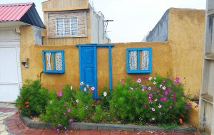 آبادانی روستاها ؛ مهاجرت معکوس و کاهش آسیب های اجتماعی