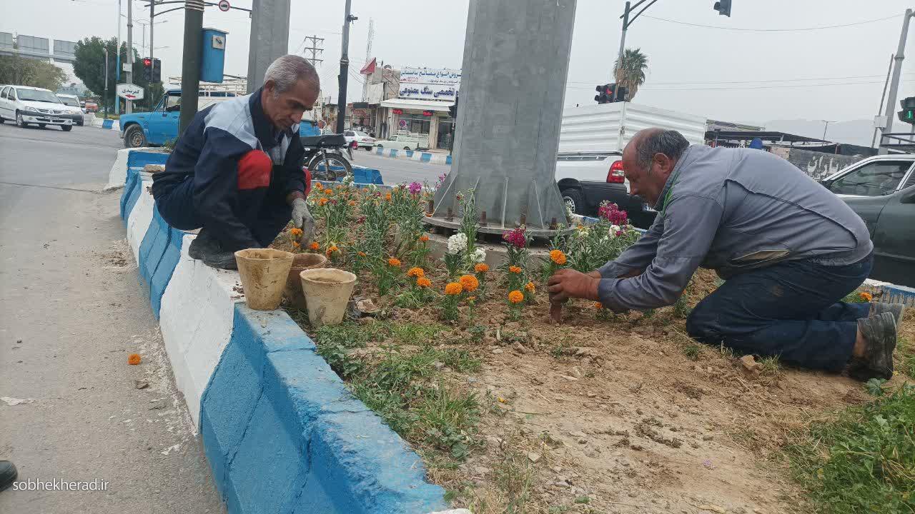 اجرای عملیات کاشت گل در بلوارها و سطح شهر دوگنبدان اجرای عملیات کاشت گل در بلوارها و سطح شهر دوگنبدان