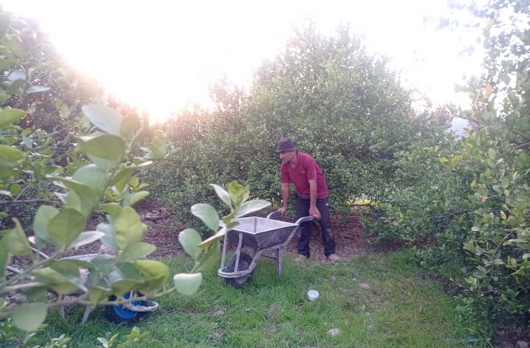 بررسی دلایل ناکارآمدی و افول سیدمحمدموحد/رد پای موحد در توسعه نیافتگی حوزه انتخابیه/تبدیل سرزمین نعمت به نقمت بررسی دلایل ناکارآمدی و افول سیدمحمدموحد/رد پای موحد در توسعه نیافتگی حوزه انتخابیه/تبدیل سرزمین نعمت به نقمت