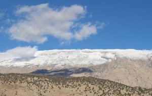 گم شدن مسافر نوروزی در کوه نیر سرفاریاب چرام /آخرین وضعیت فرد مفقودی از زبان مدیر جمعیت هلال احمر چرام