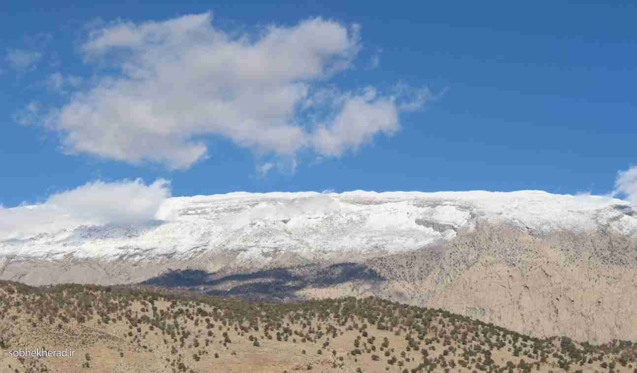گم شدن مسافر نوروزی در کوه نیر سرفاریاب چرام /آخرین وضعیت فرد مفقودی از زبان مدیر جمعیت هلال احمر چرام