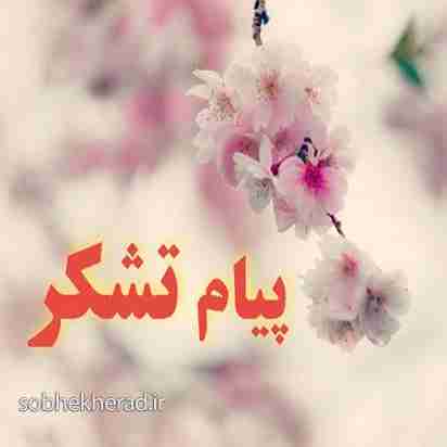 پیام تقدیر و تشکر خانواده شهید علی سینا مرادی ده شیخ از همراهی و همدردی مردم و مسئولان پیام تقدیر و تشکر خانواده شهید علی سینا مرادی ده شیخ از همراهی و همدردی مردم و مسئولان