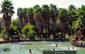 بین دوباغ!! بین دوباغ!!