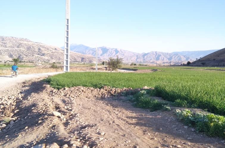 اجرای پروژه برقرسانی به کارخانه فسفات و آهک هیدراته چرام با اعتبار ۱۵میلیاردتومانی