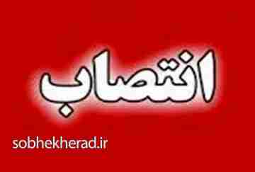 مدیر داخلی بیمارستان شهدای شهرستان رستم منصوب شد مدیر داخلی بیمارستان شهدای شهرستان رستم منصوب شد