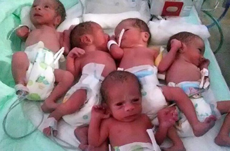 این استان های بیشترین آمار چند قلو زایی را دارند