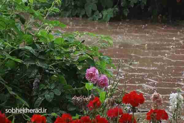 این استان‌ها منتظر  برف و سرمای باشند/+فیلم