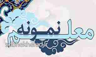 معلمان نمونه شهرستانی و استانی آموزش وپرورش دهدشت معرفی شدند