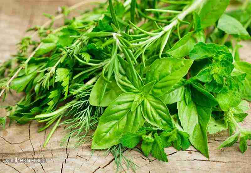 یک تن گیاه مرتعی و دو میلیاردکالای قاچاق در کهگیلویه کشف شد