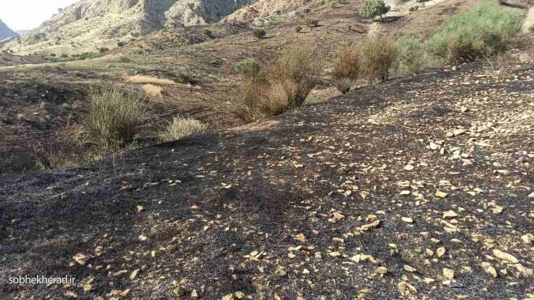 آتش سوزی در جنگل ها و مراتع نظرآباد  مهار شد