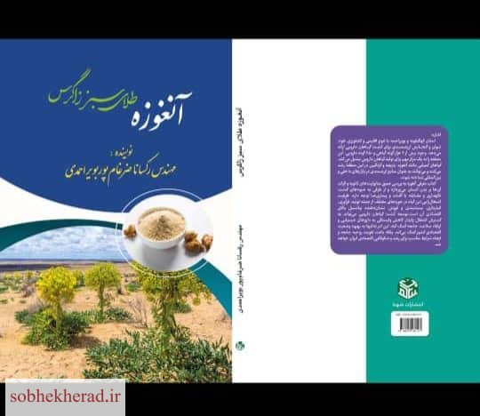 “آنغوزه”طلای سبز زاگرس/دنیایی از ارزش ها