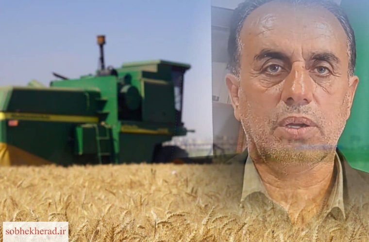 صداقت کیش خبرداد:قیمت تضمینی خرید گندم در کهگیلویه و بویراحمد صداقت کیش خبرداد:قیمت تضمینی خرید گندم در کهگیلویه و بویراحمد