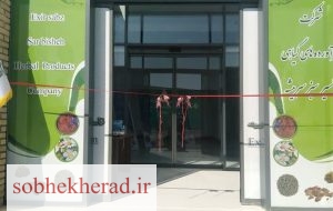 کارخانه گیاهان دارویی گچساران ،در آستانه نابودی است