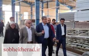 بازدید مدیر کل تعاون کار و رفاه اجتماعی کهگیلویه و بویراحمد از شرکت تولید آجر دهدشت