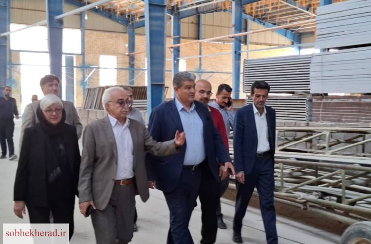 بازدید مدیر کل تعاون کار و رفاه اجتماعی کهگیلویه و بویراحمد از شرکت تولید آجر دهدشت