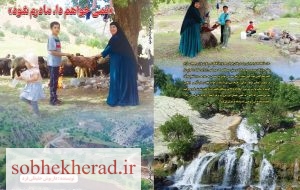 کتاب «نمیخواهم دا، مادرم شود» منتشر شد کتاب «نمیخواهم دا، مادرم شود» منتشر شد