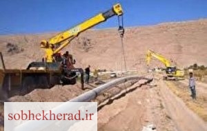 پرونده گندمکار در ترازوی علم و توسعه!