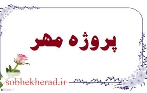 دهدشت اول شد چرام و مارگون دوم ؛ دیشموک رتبه اول مناطق کسب کرد