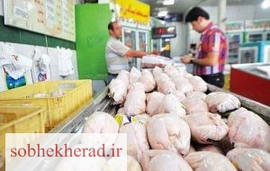 توزیع دو تن مرغ تنظیم بازار در لنده