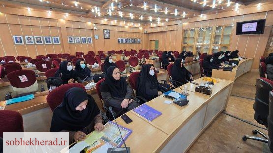 بانوان ادارات کهگیلویه‌وبویراحمد سفیران طرح ملی سبا شدند؛ آغاز فاز میدانی بهینه‌سازی انرژی/+تصاویر