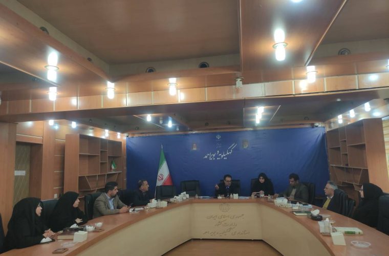 نخستین نشست کارگروه توسعه دولت الکترونیک  کهگیلویه و بویراحمد برگزار شد