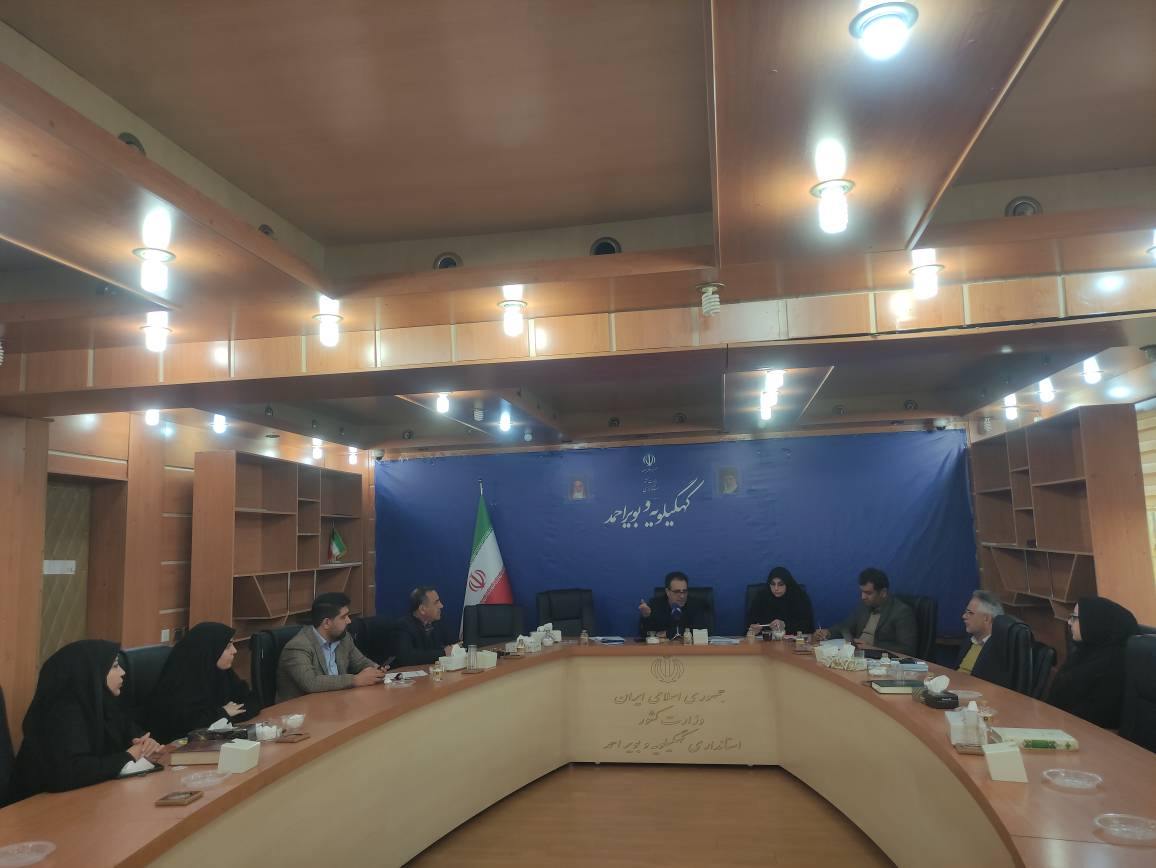 نخستین نشست کارگروه توسعه دولت الکترونیک  کهگیلویه و بویراحمد برگزار شد