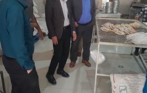 بازدید از خبازی های شهرستان لنده و برخورد با چند واحد متخلف/ دستور پلمپ یک واحد خبازی صادر شد بازدید از خبازی های شهرستان لنده و برخورد با چند واحد متخلف/ دستور پلمپ یک واحد خبازی صادر شد