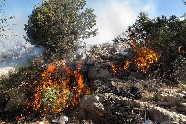 وقوع آتش سوزی در ارتفاعات روستای گناوه لری گچساران وقوع آتش سوزی در ارتفاعات روستای گناوه لری گچساران