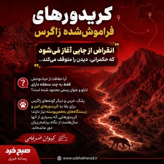 کریدورهای فراموش‌شده زاگرس؛ آیا حفاظت از حیات‌وحش به مرز مناطق چهارگانه ختم می‌شود!؟