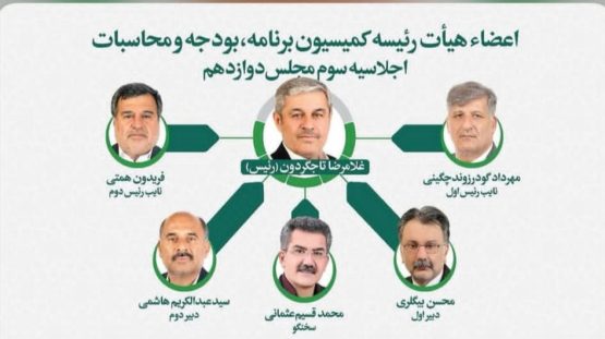 تاجگردون رئیس کمیسیون برنامه وبودجه مجلس ماند