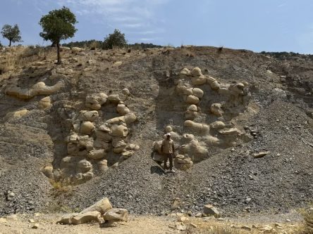 «سوسیس‌های سنگی» در سرفاریاب؛ روایت ۱۵ میلیون سال تاریخ زاگرس