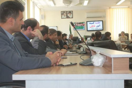 فرماندار کهگیلویه: اعتبارات بانکی شهرستان باید به‌طور کامل جذب شود