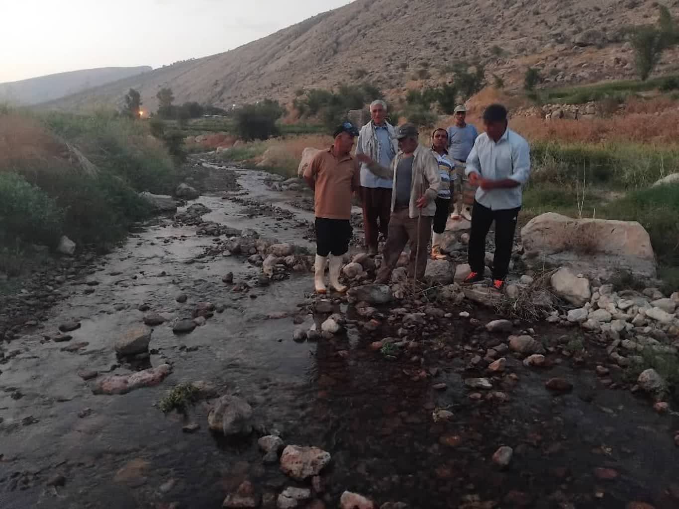 بحران کم آبی در مزارع شالیکاری اراضی شمالی چرام/لزوم ورود مسئولان برای گذر از بحران کم آبی