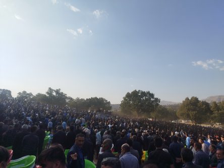 امان از غروب لبخند؛فغان از هجران محمد شکوهی!