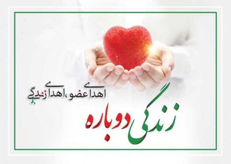 غلامرضا شجاعت سوق رفت و زندگی بخشید